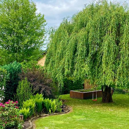 Apartament Gueneitzblick Clenze Zewnętrze zdjęcie