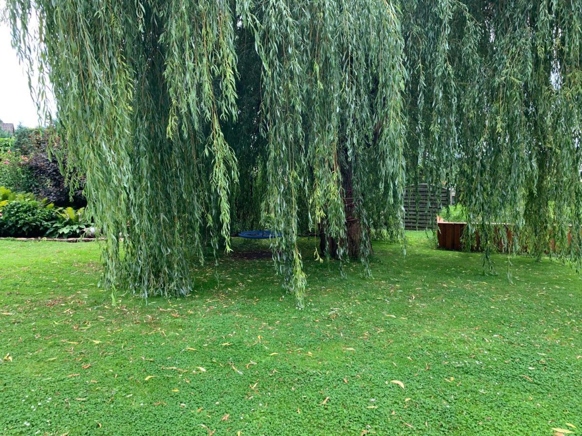 Apartament Gueneitzblick Clenze Zewnętrze zdjęcie